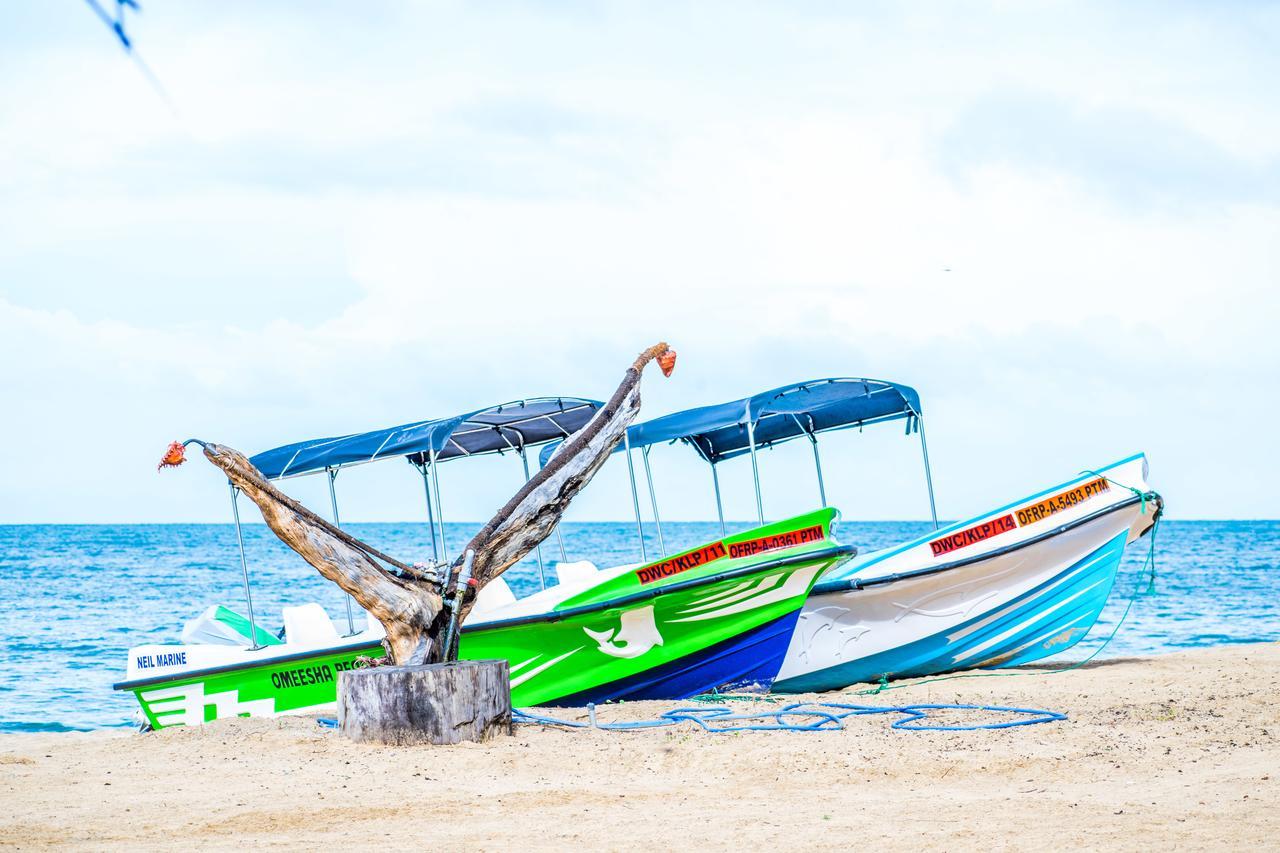 Omeesha Beach Hotel Kalpitiya Dış mekan fotoğraf