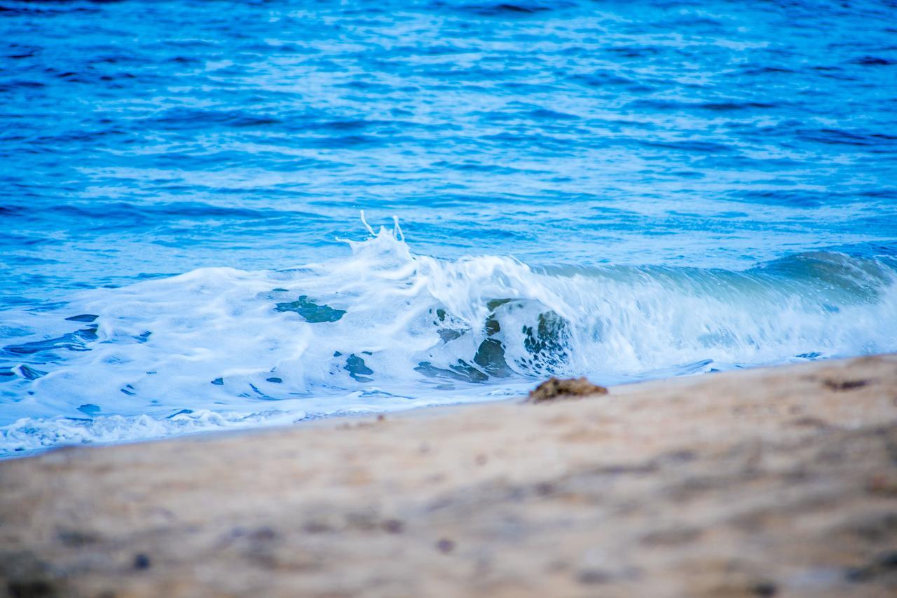 Omeesha Beach Hotel Kalpitiya Dış mekan fotoğraf